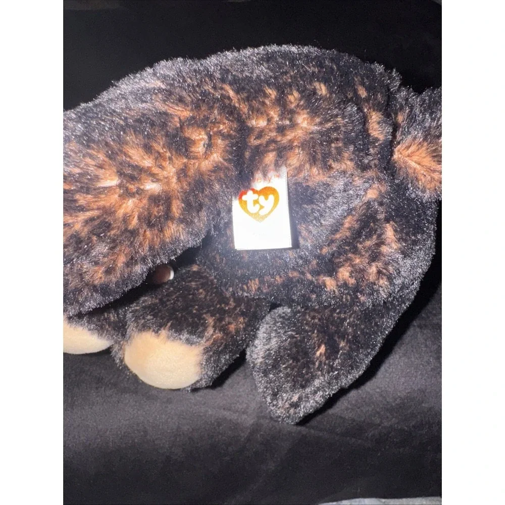 TY Classic‎ Kodi Dark Brown Bear Beanie Missing Ty Ear Tag 10